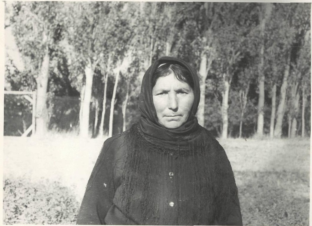 Professor Abuzər Xələfov foto arxiv
